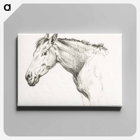 アートパネル-Head of a horse - ジャン ベルナール Canvas.