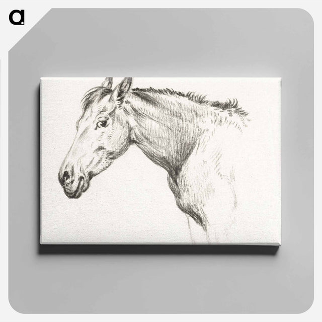 アートパネル-Head of a horse - ジャン ベルナール Canvas.