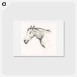 アートポストカード-Head of a horse - ジャン ベルナール Postcard.