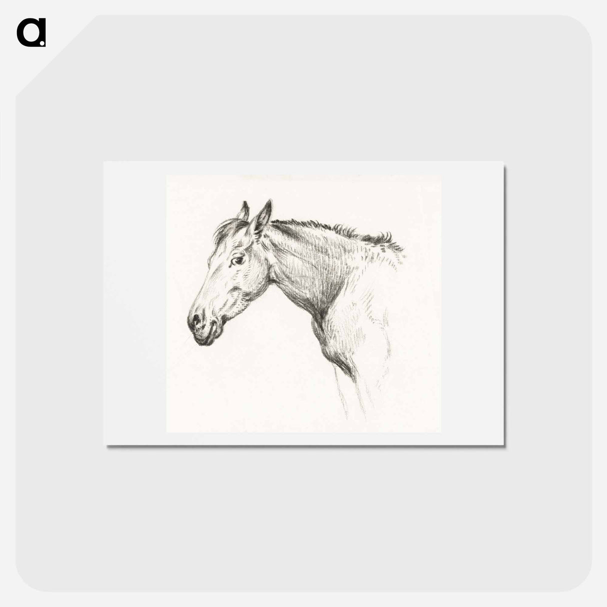 アートポストカード-Head of a horse - ジャン ベルナール Postcard.