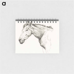 アートメモ帳-Head of a horse - ジャン ベルナール Memo.