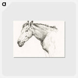 アートポストカード-Head of a horse - ジャン ベルナール Postcard.