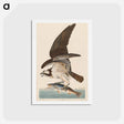 アートポストカード-Fish Hawk, or Osprey
 - ジョン ジェームス オーデュボン Postcard.