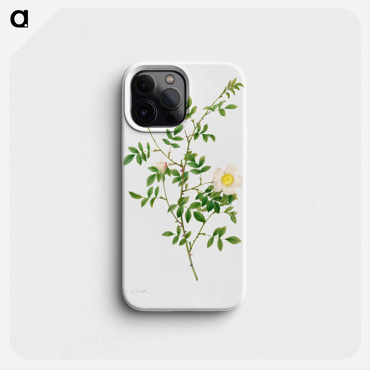 Brier Bush Rose or Dog Rose (Rosa Sepium Rosea) - ピエール ジョゼフ ルドゥーテ Phone Case.