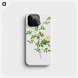 Brier Bush Rose or Dog Rose (Rosa Sepium Rosea) - ピエール ジョゼフ ルドゥーテ Phone Case.