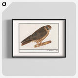 Tree Falcon - アンセルムス ボエティウス デ ブート Poster.