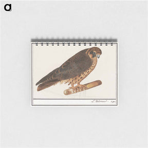 アートメモ帳-Tree Falcon - アンセルムス ボエティウス デ ブート Memo.