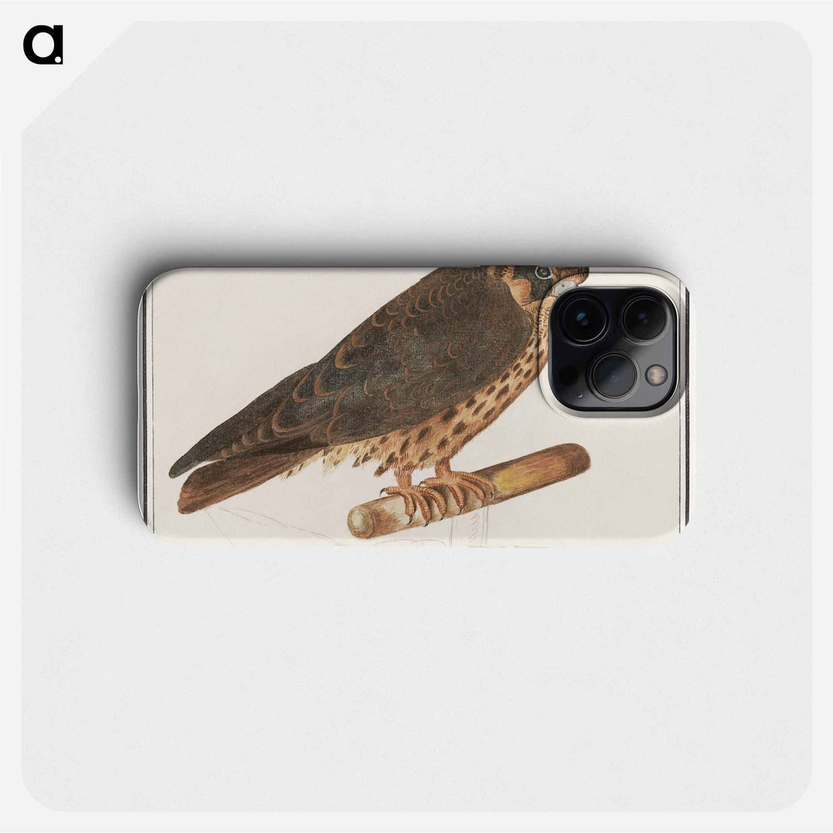 Tree Falcon - アンセルムス ボエティウス デ ブート Phone Case.