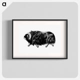 アートポスター-Muskox from Amerika
 - 大英図書館 Poster.