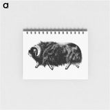 アートメモ帳-Muskox from Amerika
 - 大英図書館 Memo.