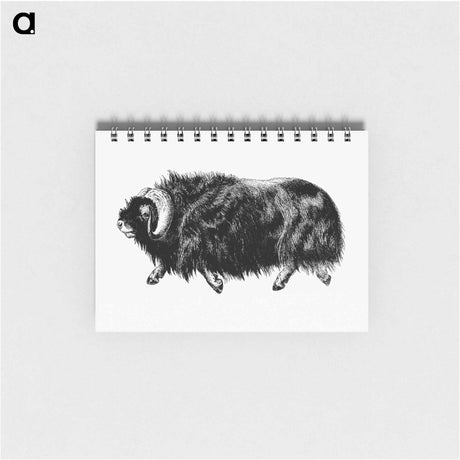 アートメモ帳-Muskox from Amerika
 - 大英図書館 Memo.