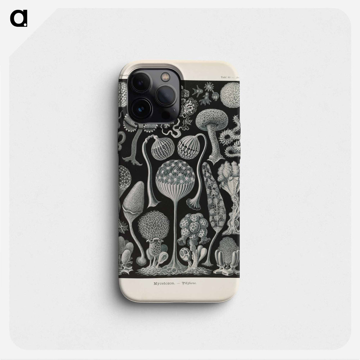 Marine life illustration - エルンスト ヘッケル Phone Case.