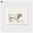 アートポストカード-Standing bull - ジャン ベルナール Postcard.