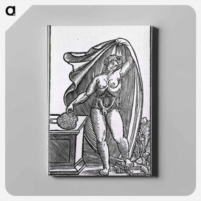 アートパネル-Anatomy of the Female Body
 - 国立医学図書館 Canvas.