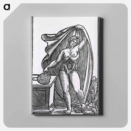 アートパネル-Anatomy of the Female Body
 - 国立医学図書館 Canvas.