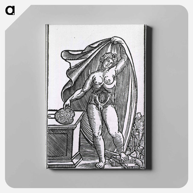 アートパネル-Anatomy of the Female Body
 - 国立医学図書館 Canvas.