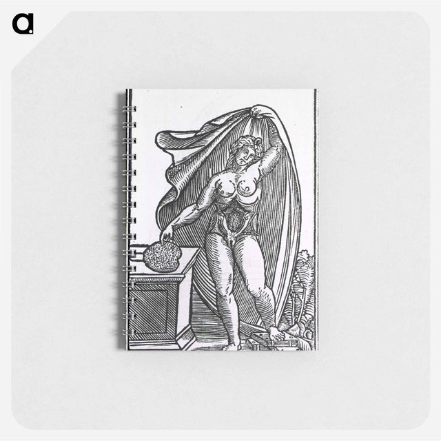 アートメモ帳-Anatomy of the Female Body
 - 国立医学図書館 Memo.