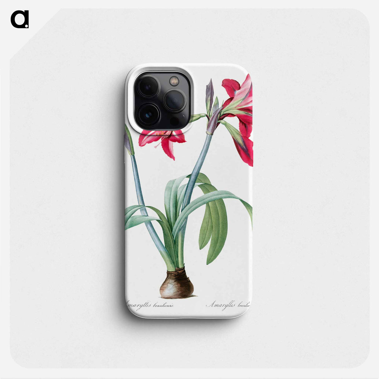 Brazilian amaryllis - Pierre Joseph Redouté Phone Case.