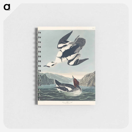 アートメモ帳-Smew or White Nun from Birds of America
 - アメリカの鳥たち Memo.