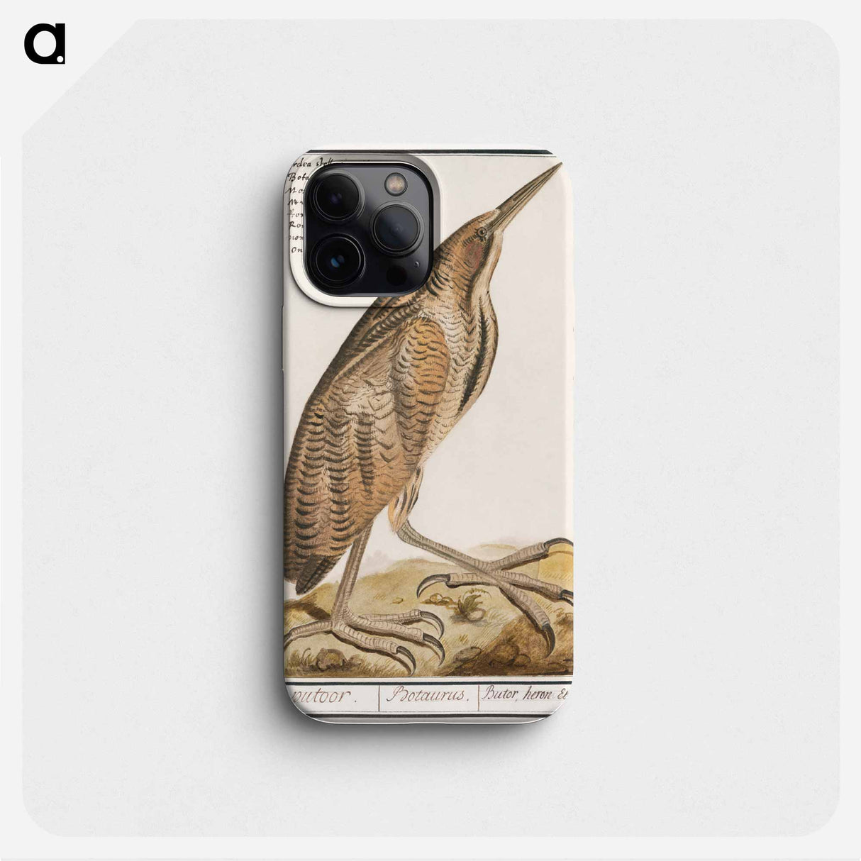 The Bittern - アンセルムス ボエティウス デ ブート Phone Case.