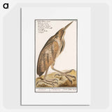 The Bittern - アンセルムス ボエティウス デ ブート Poster.