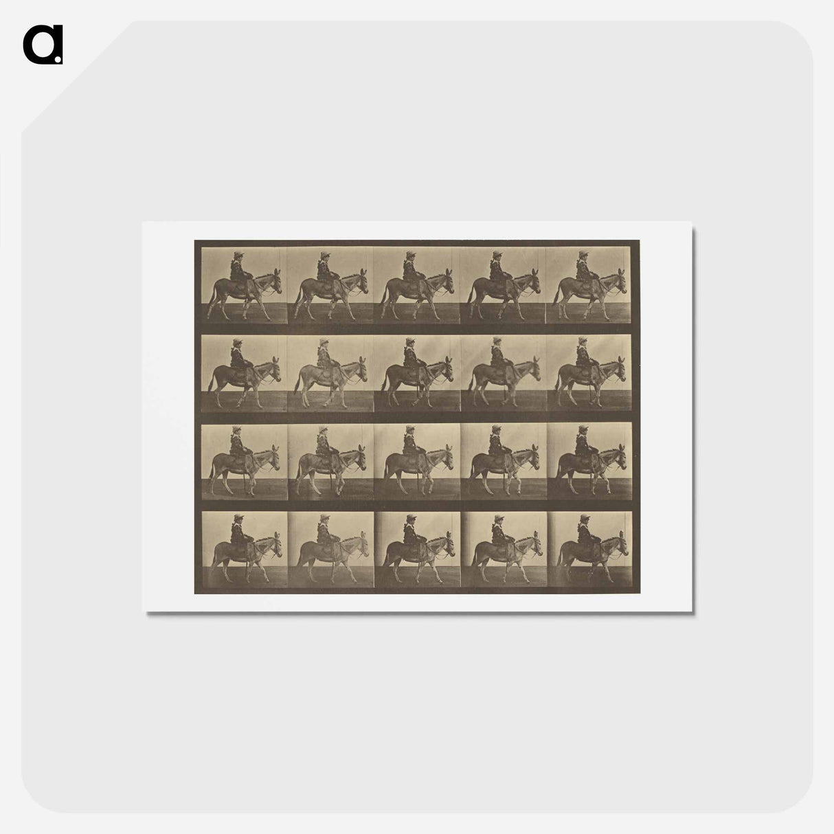 アートポストカード-Animal Locomotion
 - エドワード マイブリッジ Postcard.
