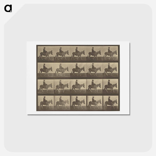 アートポストカード-Animal Locomotion
 - エドワード マイブリッジ Postcard.