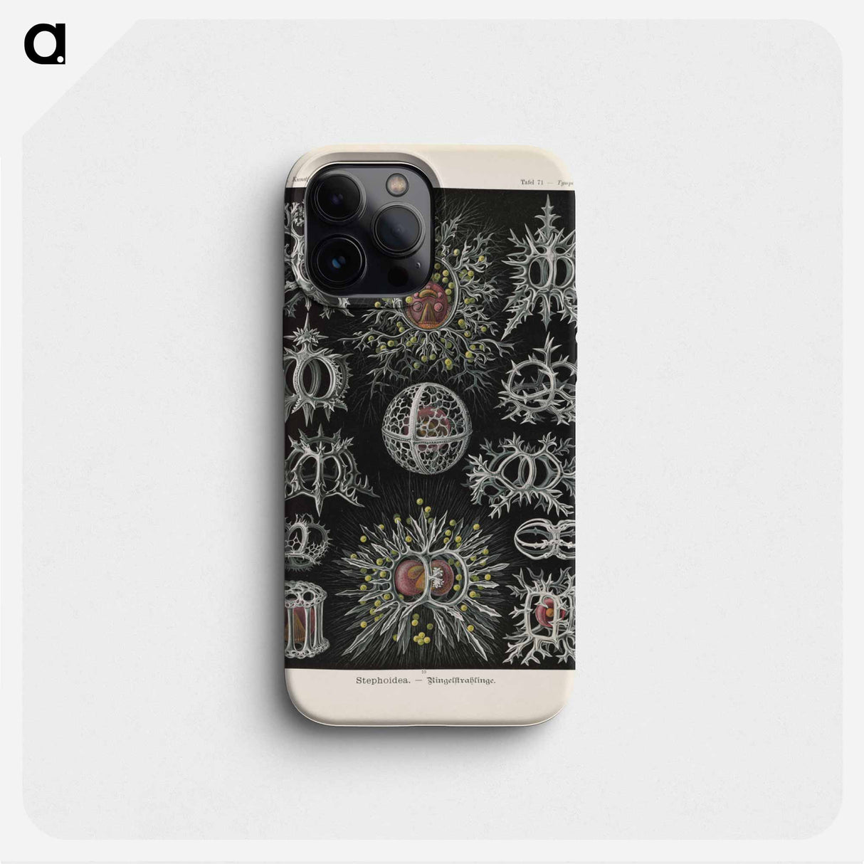 Marine life illustration - エルンスト ヘッケル Phone Case.