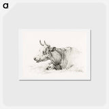 アートポストカード-Lying cow - ジャン ベルナール Postcard.