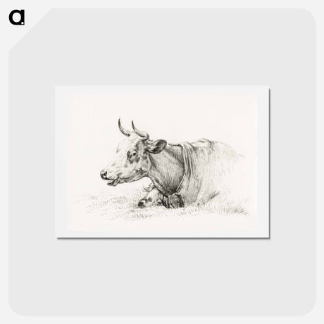 アートポストカード-Lying cow - ジャン ベルナール Postcard.
