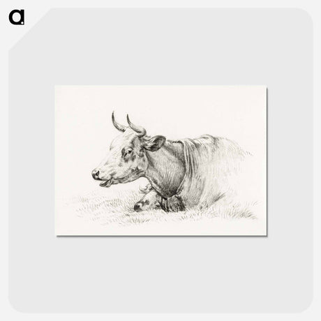 アートポストカード-Lying cow - ジャン ベルナール Postcard.