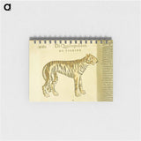 アートメモ帳-Tiger in Profile
 - 国立医学図書館 Memo.