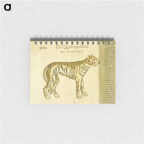 アートメモ帳-Tiger in Profile
 - 国立医学図書館 Memo.