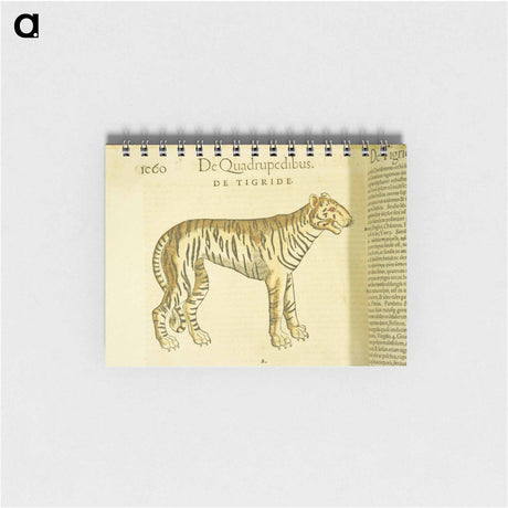アートメモ帳-Tiger in Profile
 - 国立医学図書館 Memo.