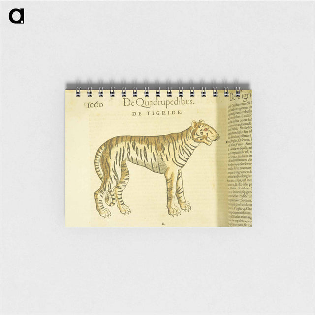 アートメモ帳-Tiger in Profile
 - 国立医学図書館 Memo.