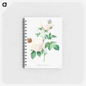 アートメモ帳-White rose - ピエール ジョゼフ ルドゥーテ Memo.