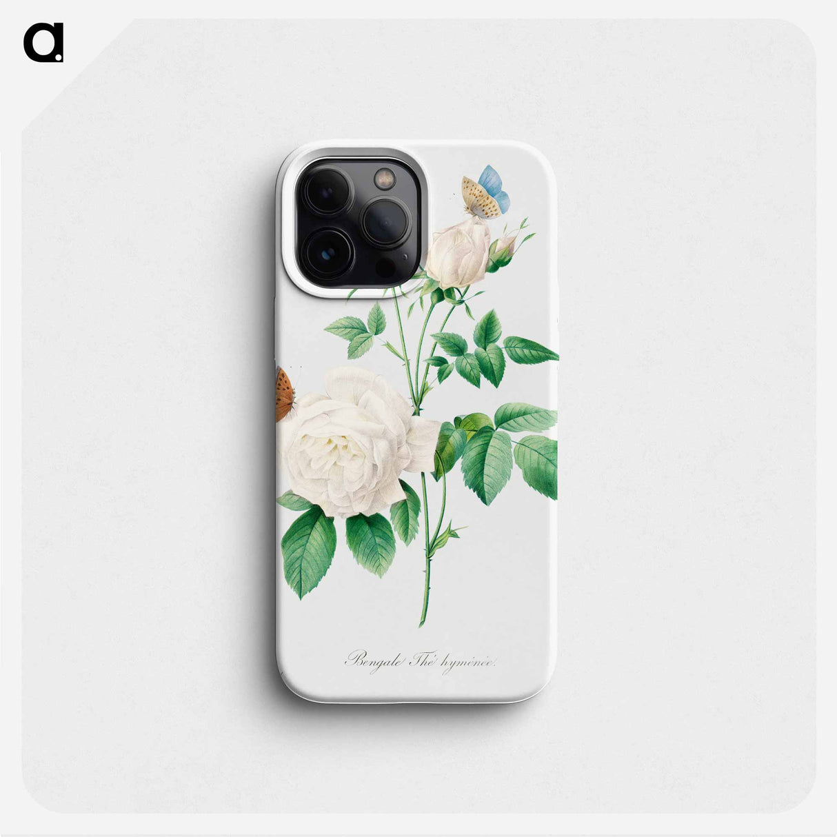 White rose - Pierre Joseph Redouté Phone Case.