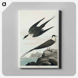 アートパネル-Arctic Yager from Birds of America
 - アメリカの鳥たち Canvas.