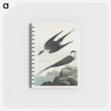アートメモ帳-Arctic Yager from Birds of America
 - アメリカの鳥たち Memo.