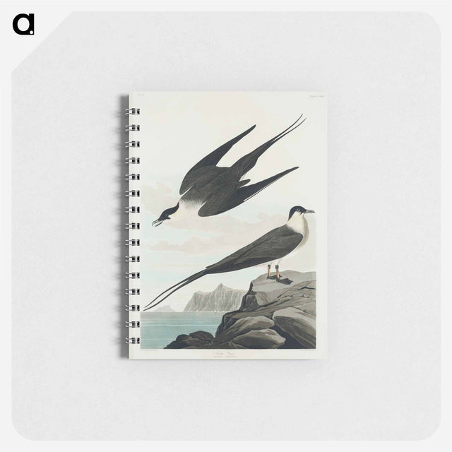 アートメモ帳-Arctic Yager from Birds of America
 - アメリカの鳥たち Memo.