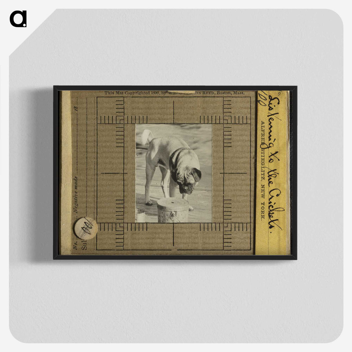 3-7_Alfred-Stieglitz_blk-crop