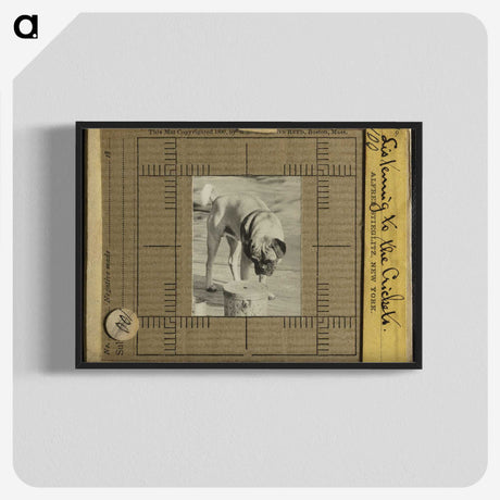 3-7_Alfred-Stieglitz_blk-crop