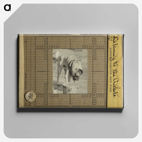 Listening to the Crickets - アルフレッド スティーグリッツ Canvas.
