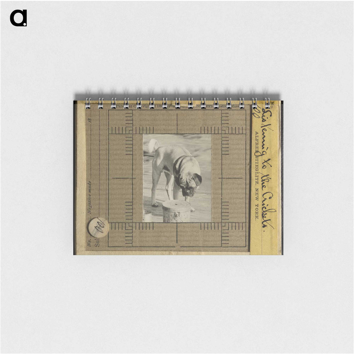 3-7_Alfred-Stieglitz_memo