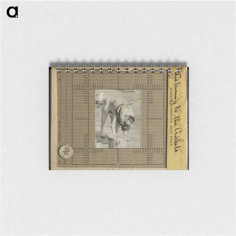 3-7_Alfred-Stieglitz_memo