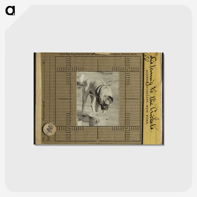 3-7_Alfred-Stieglitz_postcard