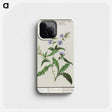 3-7_Anselmus-Boetius-de-Boodt_phone