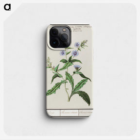 3-7_Anselmus-Boetius-de-Boodt_phone