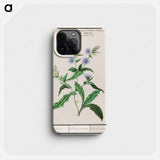 Wild chicory - アンセルムス ボエティウス デ ブート Phone Case.