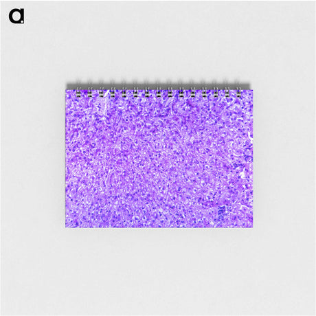 3-7_COVID-19_memo